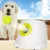 Catapult For Dogs Ball Launcher Dog Toy Tennis Ball Launcher Jumping Ball Pitbull Toys Tennis Ball Machine Automatic Throw Pet